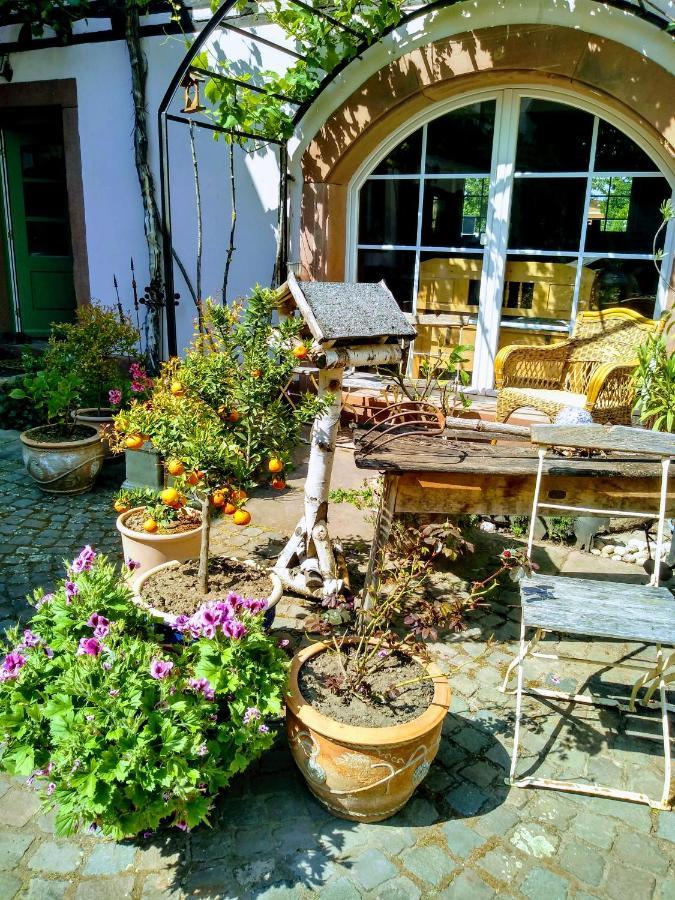 Willkommen In Unserem Kleinen Paradies Venningen 外观 照片