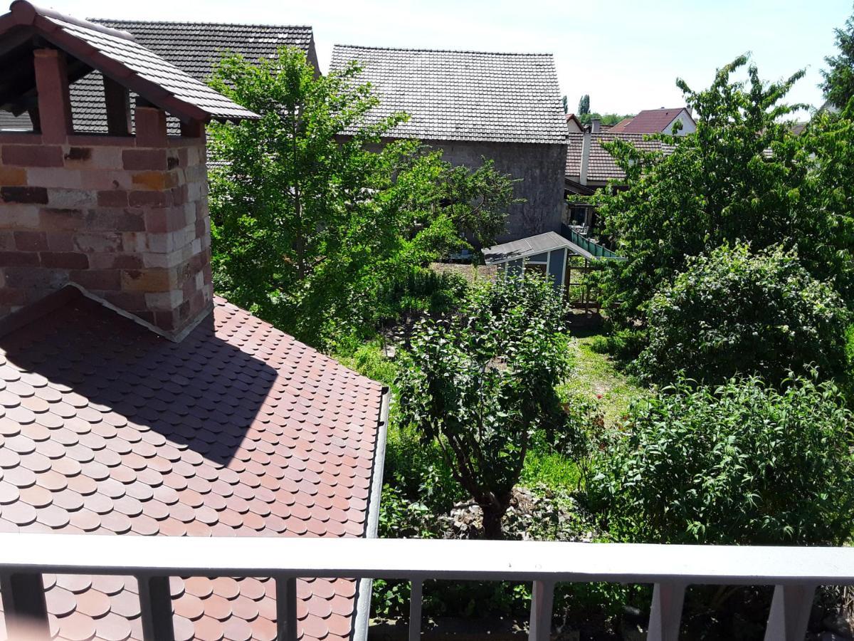 Willkommen In Unserem Kleinen Paradies Venningen 外观 照片