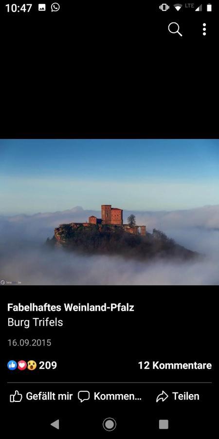 Willkommen In Unserem Kleinen Paradies Venningen 外观 照片
